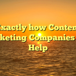 Exactly how Content Marketing Companies Can Help