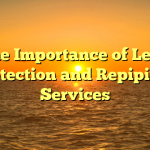 The Importance of Leak Detection and Repiping Services