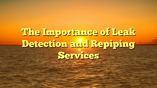 The Importance of Leak Detection and Repiping Services