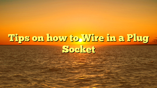 Tips on how to Wire in a Plug Socket