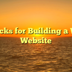 Tricks for Building a Wp Website