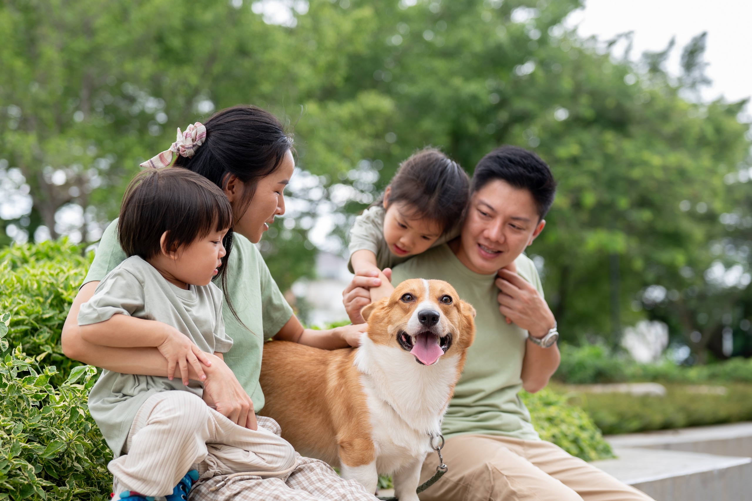 From Abandonment To Love: A Real-Life Rescue Story That Changed A Dog’s Life Forever